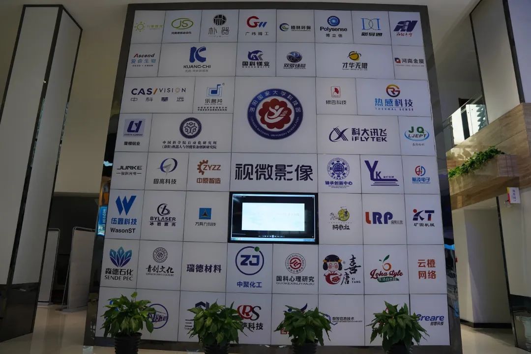 【青年看洛阳】青年代表为科技创新“尖兵”点赞