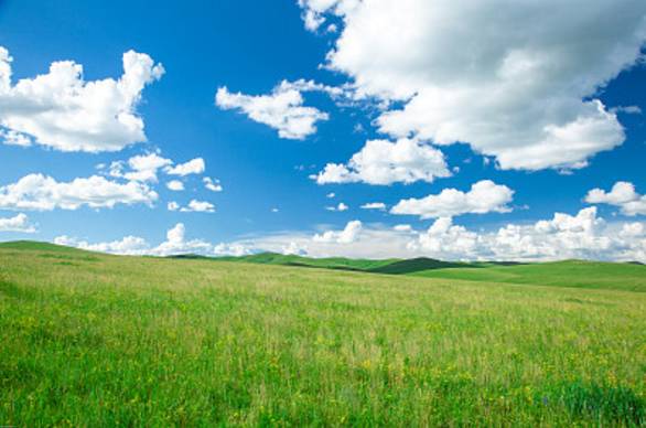 “地球之肺”在燃烧！谁该承担起生态责任？浙大博士后郭喨为你解析！