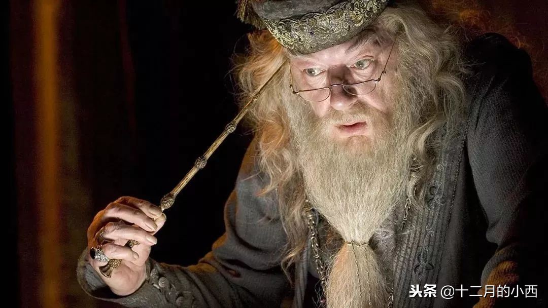 霍格沃茨的校长,威森加摩首席魔法师,当代最伟大,也是最强大的巫师.