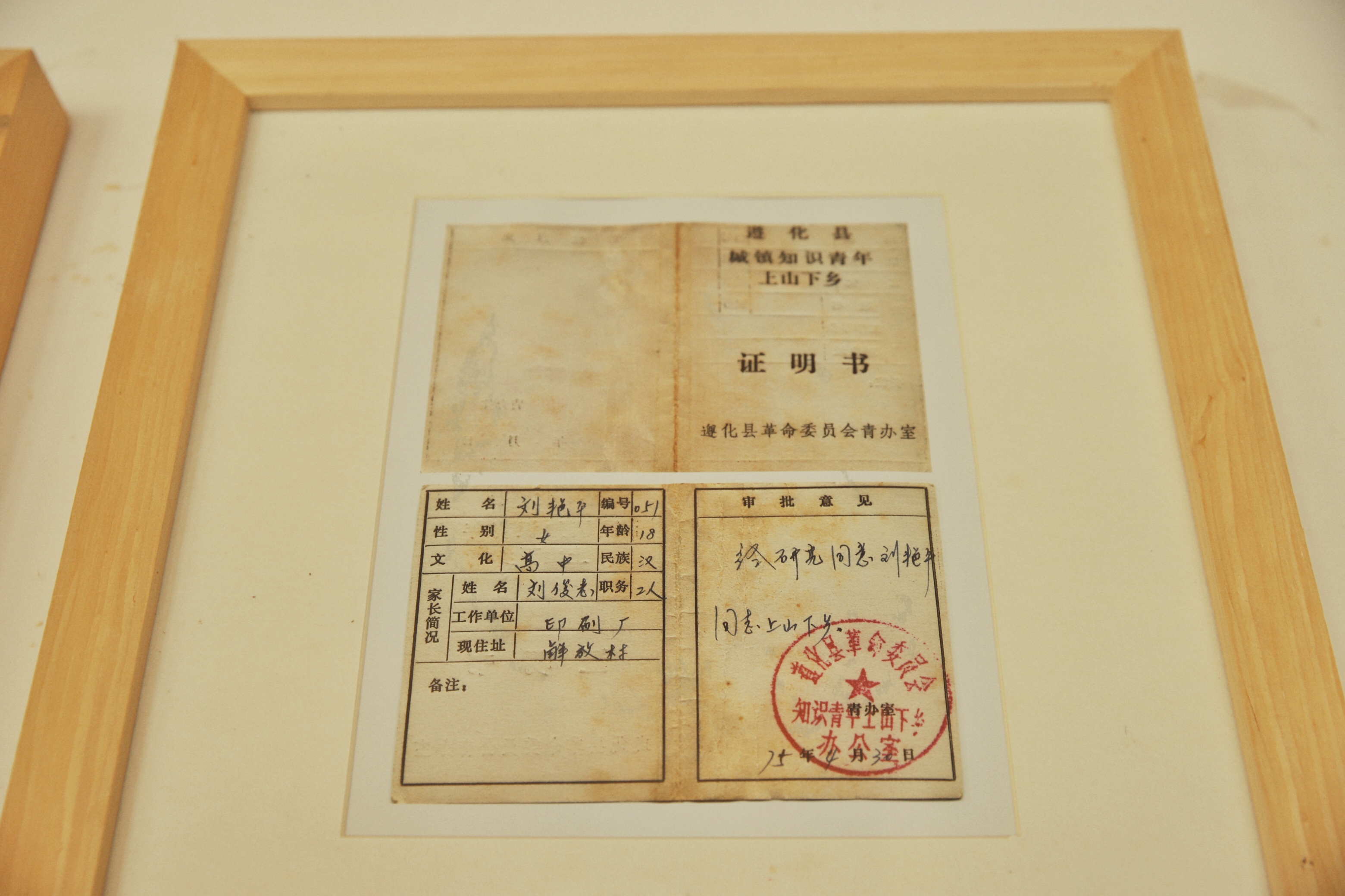 北京出发2小时，超美稻田免费玩～再不去后悔一年