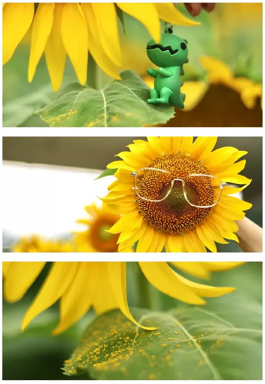 震撼!全国高校最美秋景大PK,哪所高校最最最惊艳?