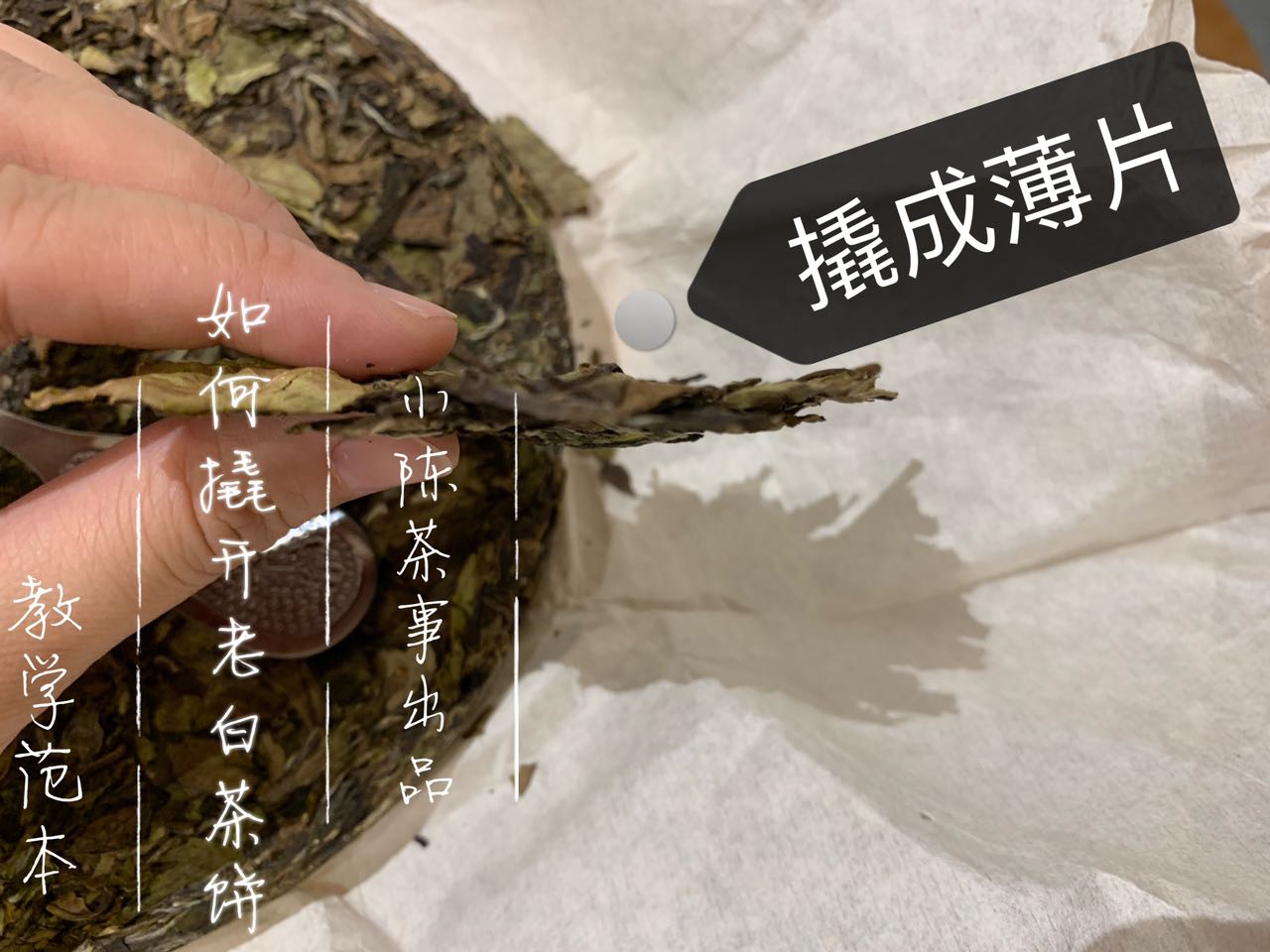 撬白茶饼的错误方法，老虎钳我忍了，微波炉加热是什么操作？