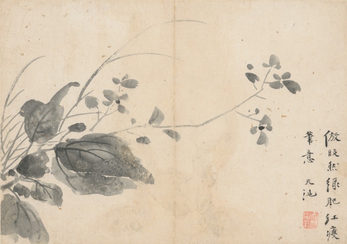 中国泼墨大写意画派的创始人徐渭