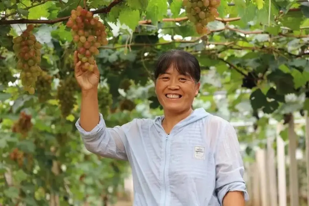 2020高考作文押题（内附最新素材）