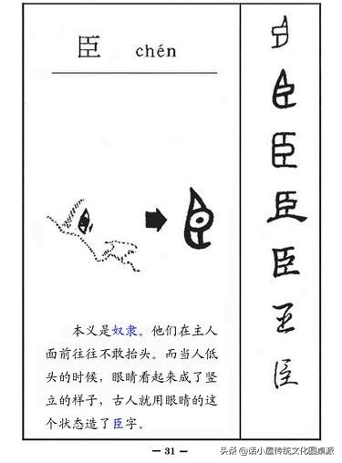 汉字的演变过程 《汉字字体的演变》-起航号
