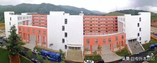 「2020专升本招生简章」云南师范大学商学院/艺术学院文华学院