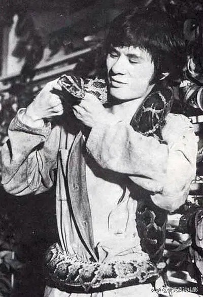 蜈蚣咒电影剧情「详细介绍」 _晶羽科技