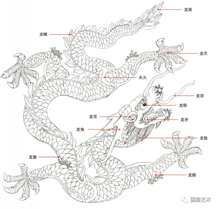 龙的组成图片