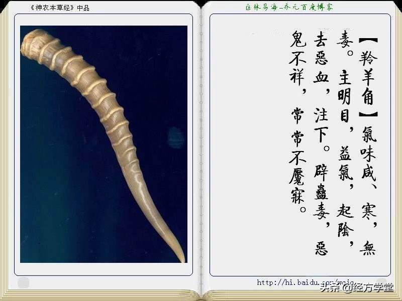 《神农本草经》全册图文解析 建议收藏