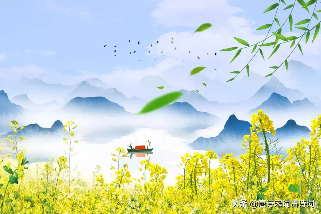 15种开在春天里的花,送给大家15种春天里的诗意