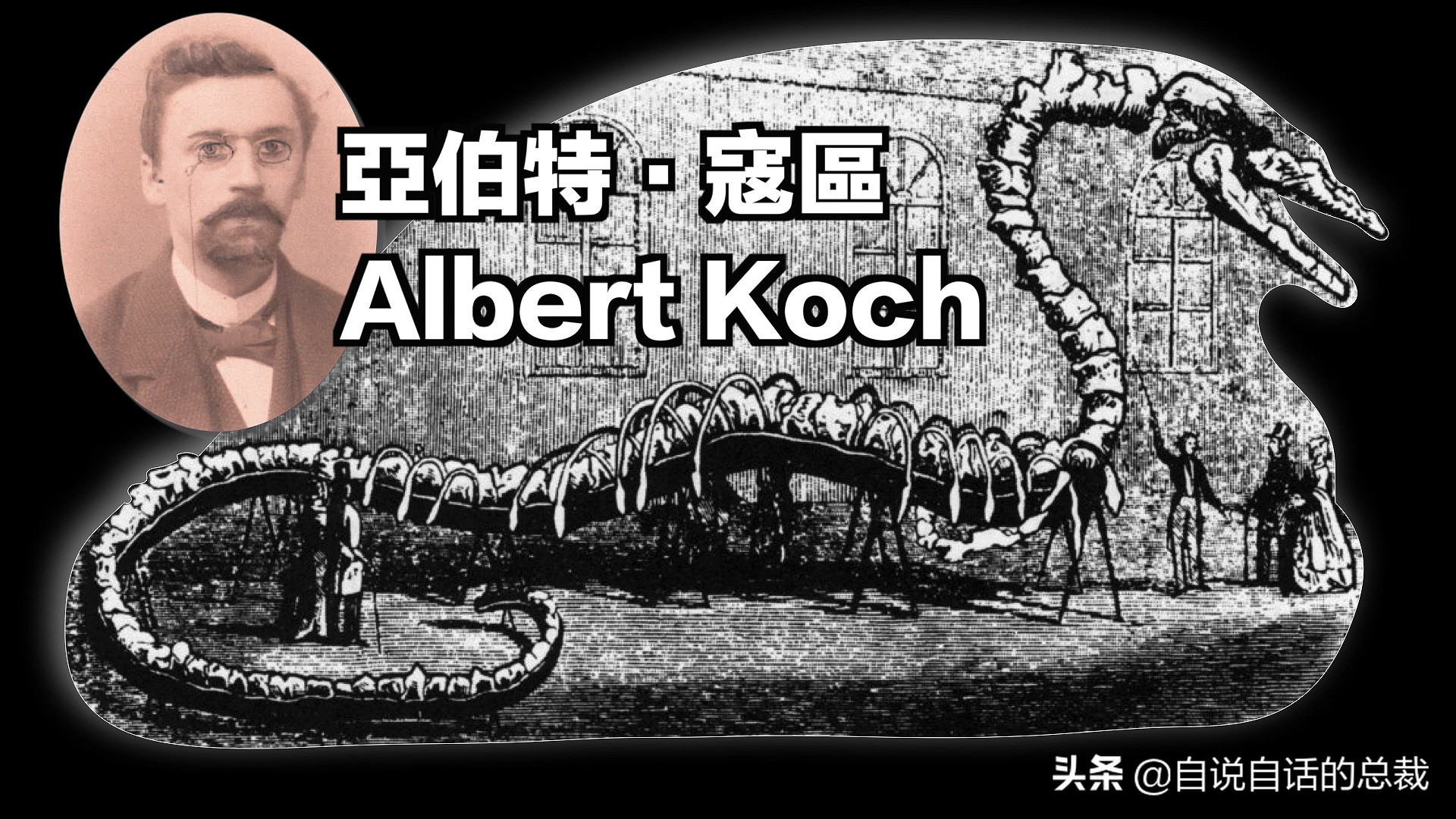 5种比巨齿鲨还恐怖的海怪，背后隐藏着一个人类起源的故事