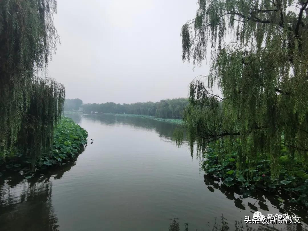 雨中游圆明园，西洋楼是历史，外面就是盛世，一墙恍如隔世