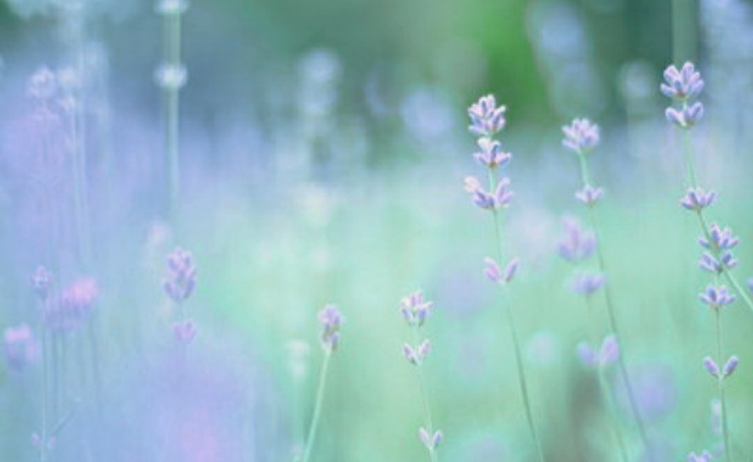 那些关于秋天的成语，美，而且忧伤