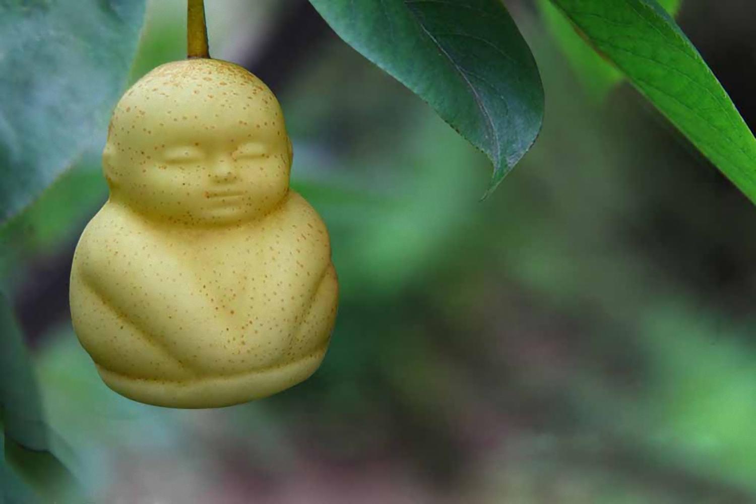 世界上最贵的水果有多贵？盘点14种贵得离谱的水果