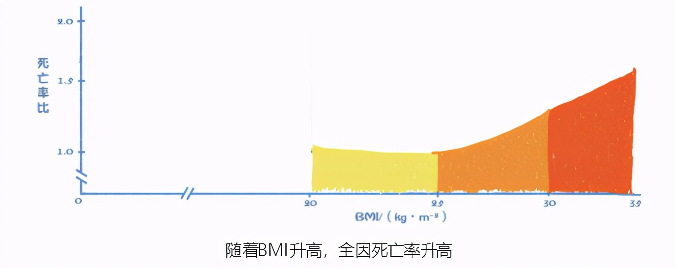 了解自己的身体：体质指数和身体成分