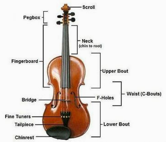 小提琴有多少根弦组成，全面的小提琴介绍组成