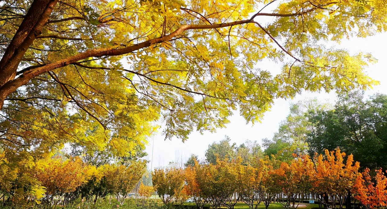 河南这所二本大学，录取分低，背景却十分强大！毕业就进银行上班