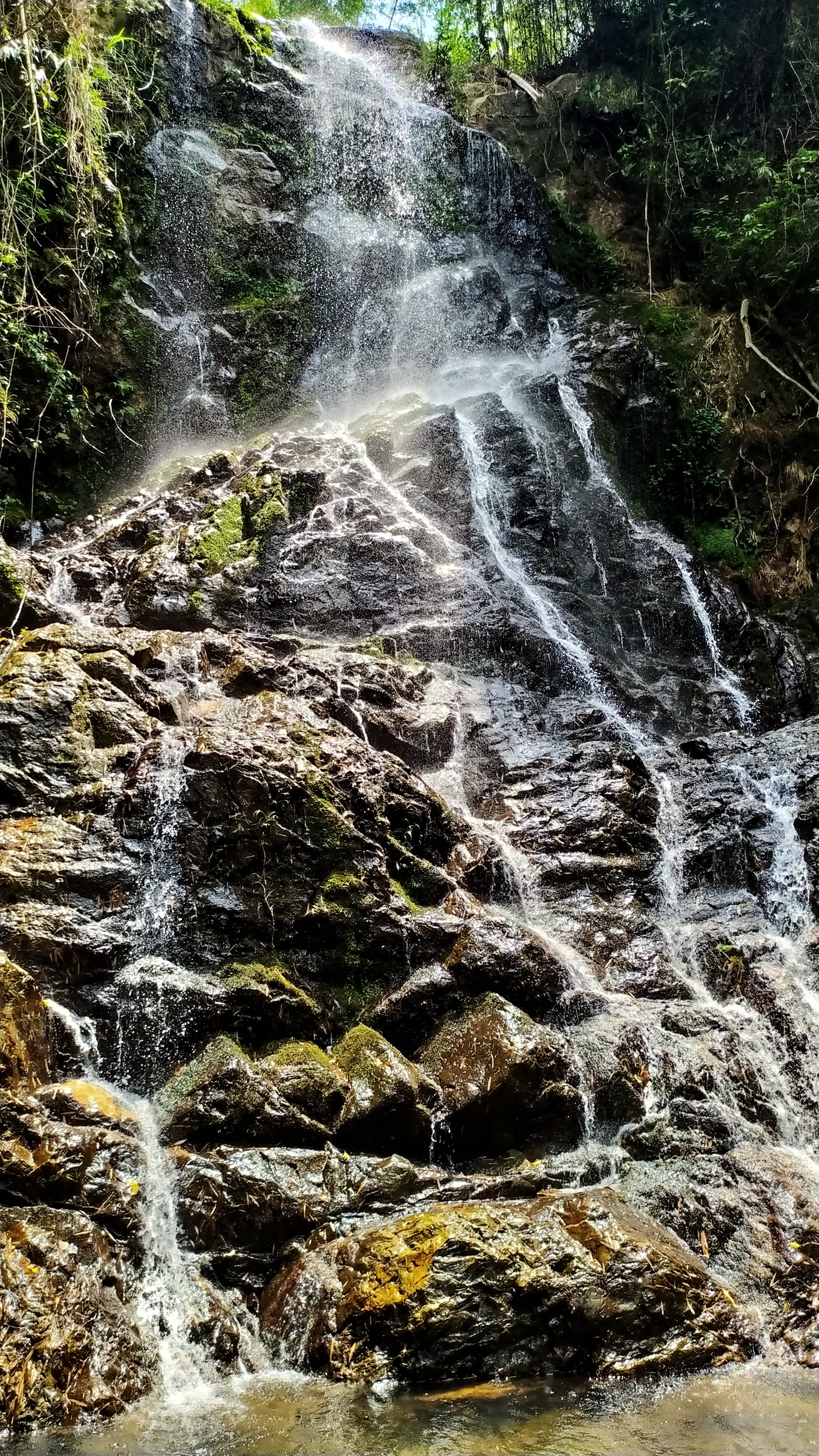 崇义阳明山是一个自驾游的好地方)