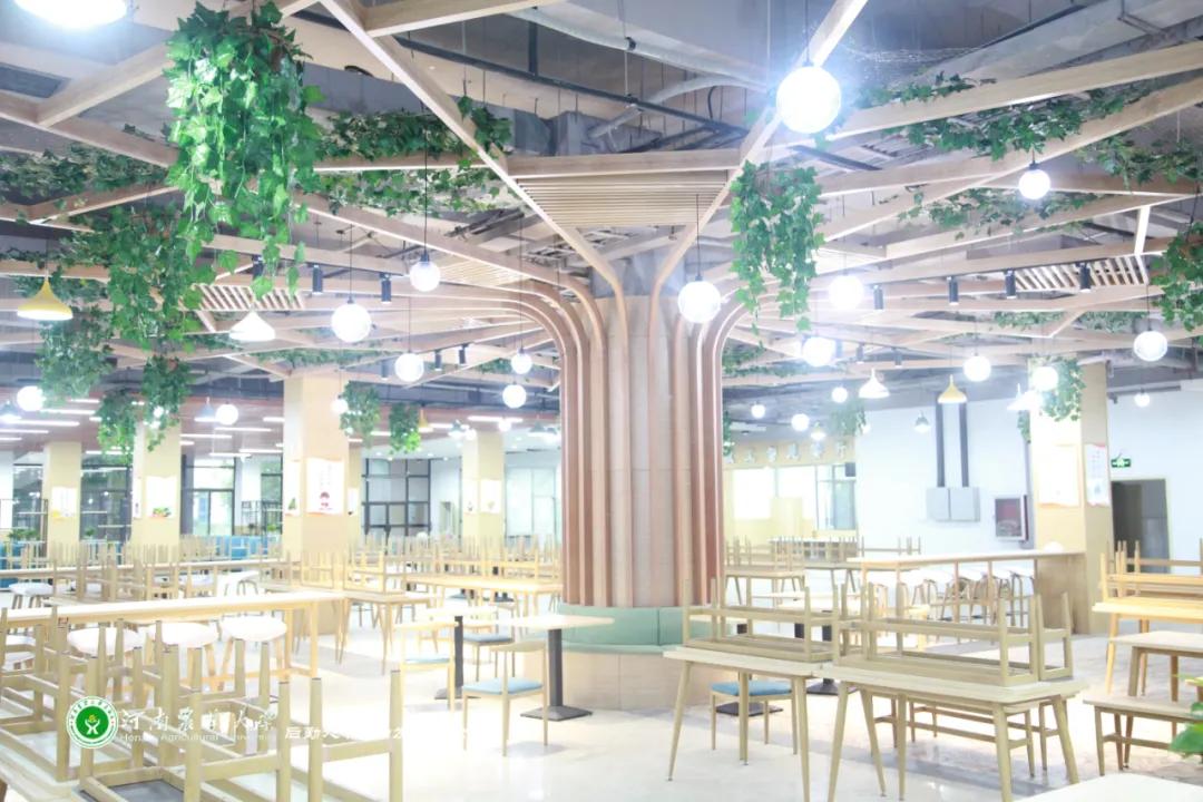 美美美，14000㎡等你发现，农大餐厅焕新啦