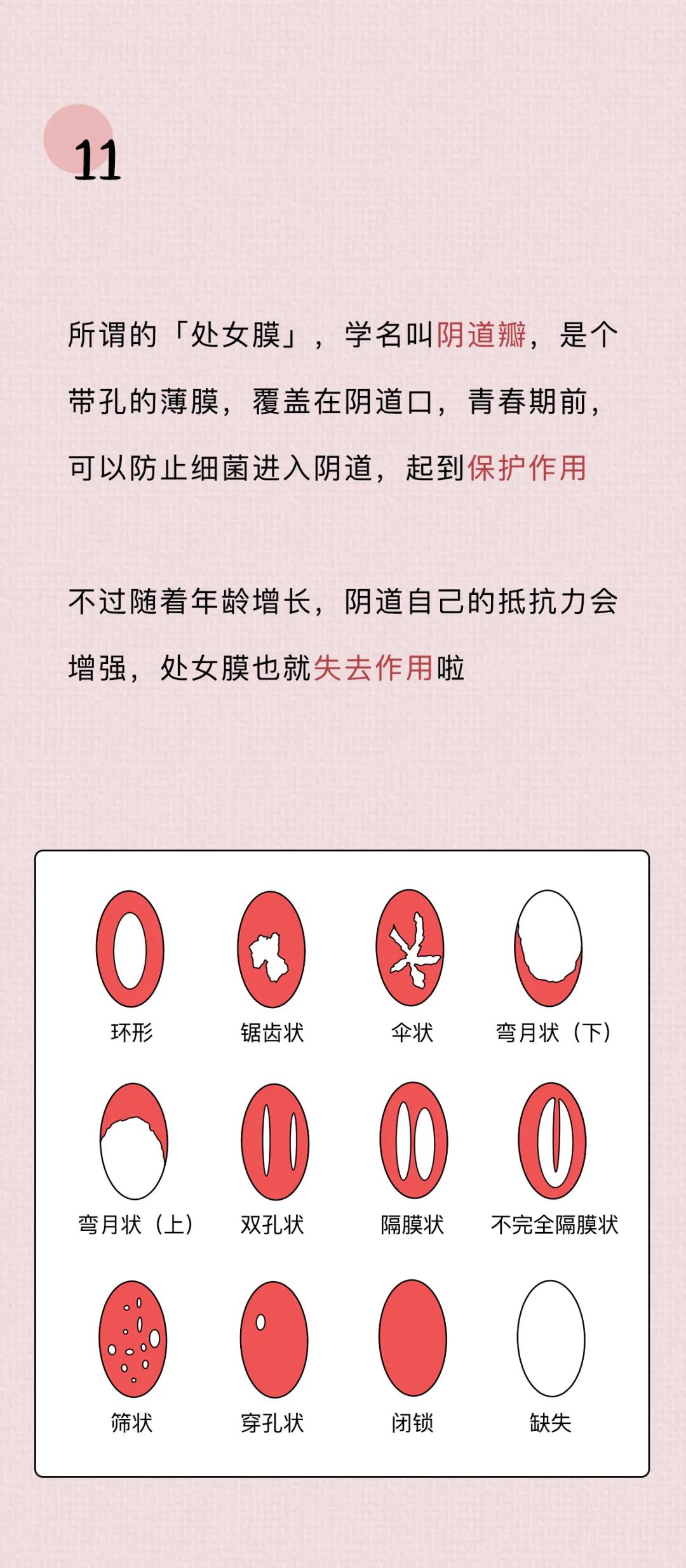 关于阴道，你必须知道的12个正经小知识