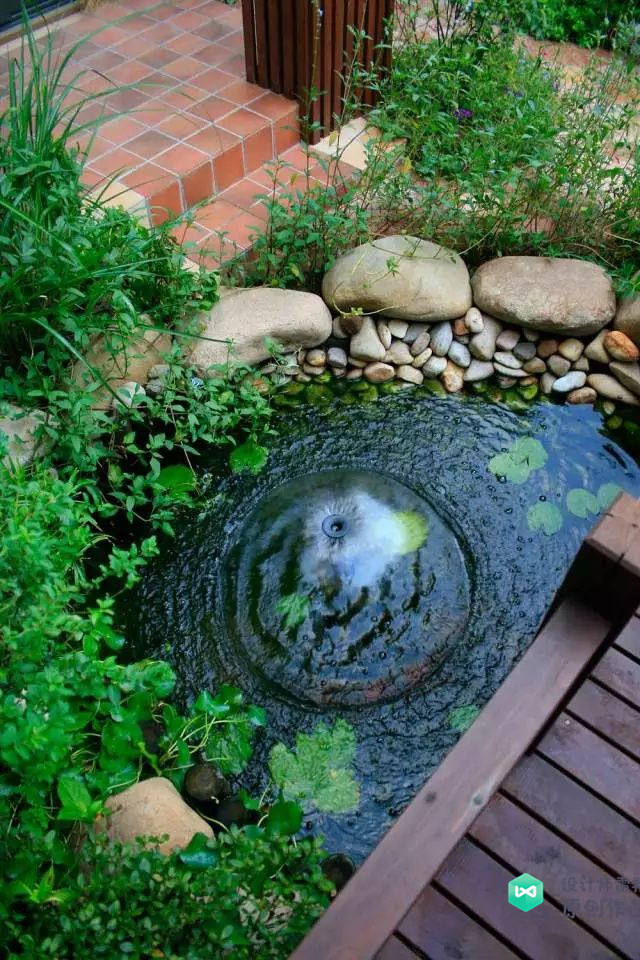 庭院鱼池实景图片