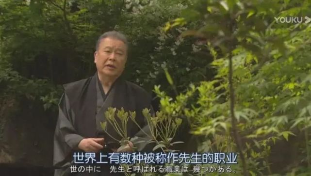 “君”、“酱”还是“桑”？日本人的称呼到底怎么说才合适？