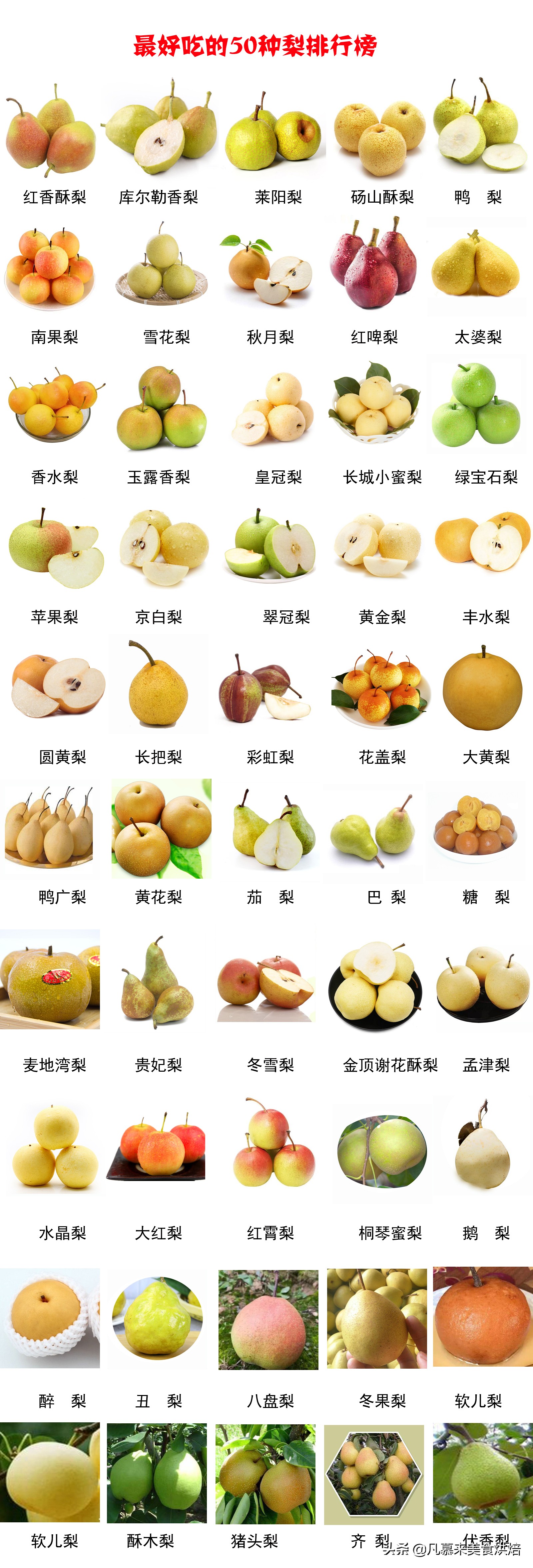 苹果梨图片（盘点全国最好吃的50种梨快收藏）