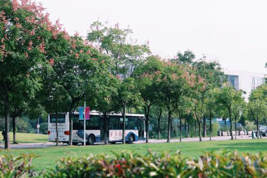 高考结束了？快来看看中南大学吧！