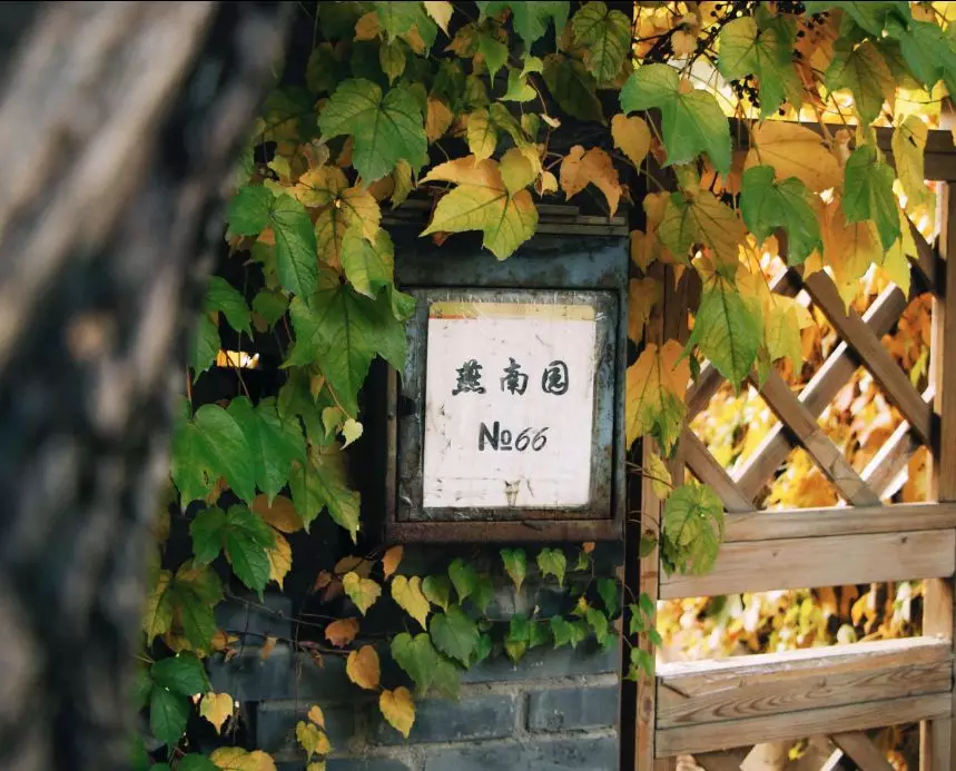 震撼!全国高校最美秋景大PK,哪所高校最最最惊艳?