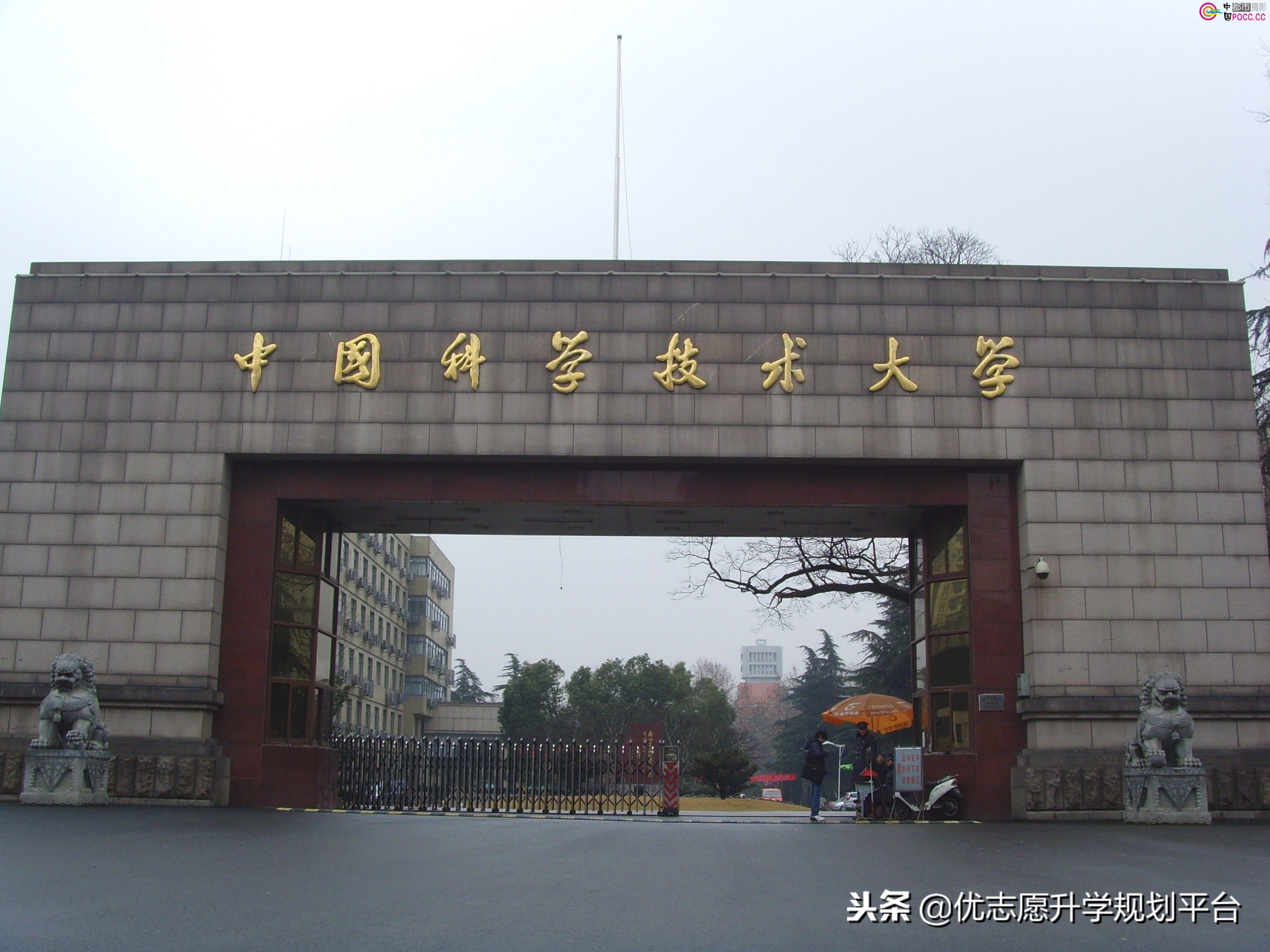 9c大学「c9大学有哪些学校名单」