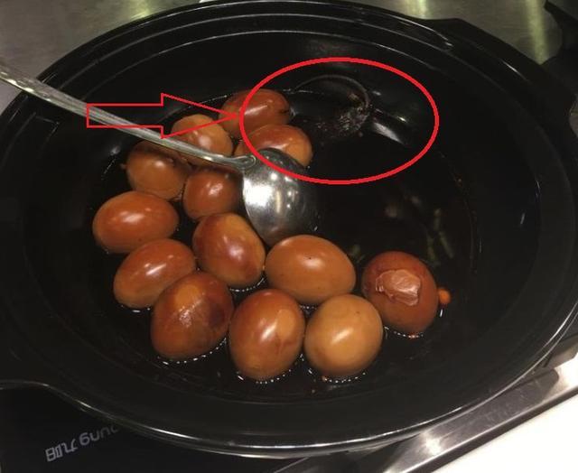 浙江大学食堂惊现“老鼠”，学生“炸锅”了，饮食安全堪忧