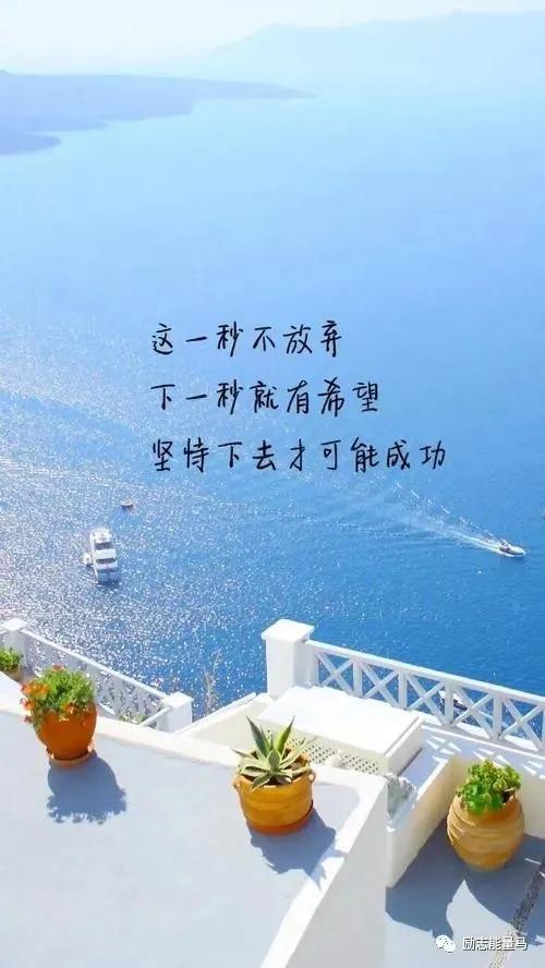 逆境中成长，坚持让梦想发光