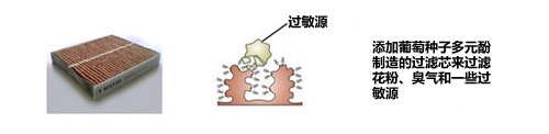 一探究竟！各大车型中很少被提及的技术