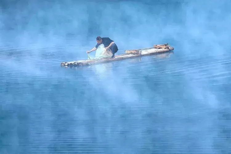 五月丨落花随春去，余香伴夏来