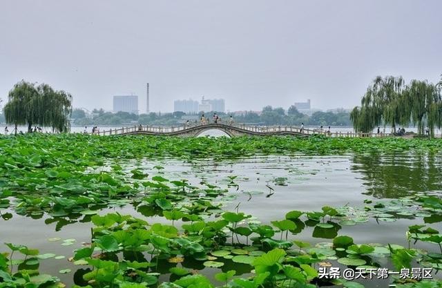 用古诗词描绘的大明湖，原来真的那么美！