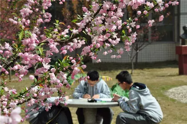 名初系列：跻身顶级公办，河西的门面担当，这所学校厉害了！