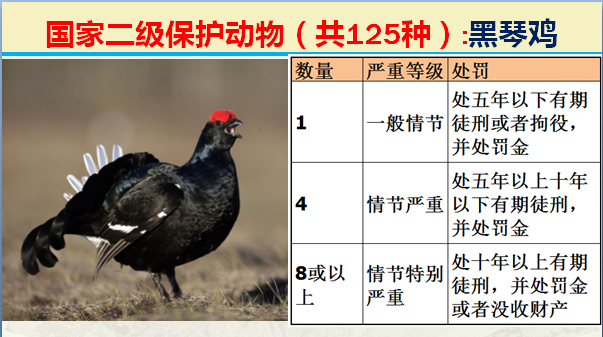 二级保护动物（国家最新125类二级野生保护名录）