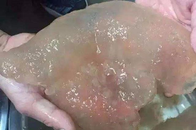 价值百万！太岁究竟是什么，不属于任何生命形式的“怪肉”？