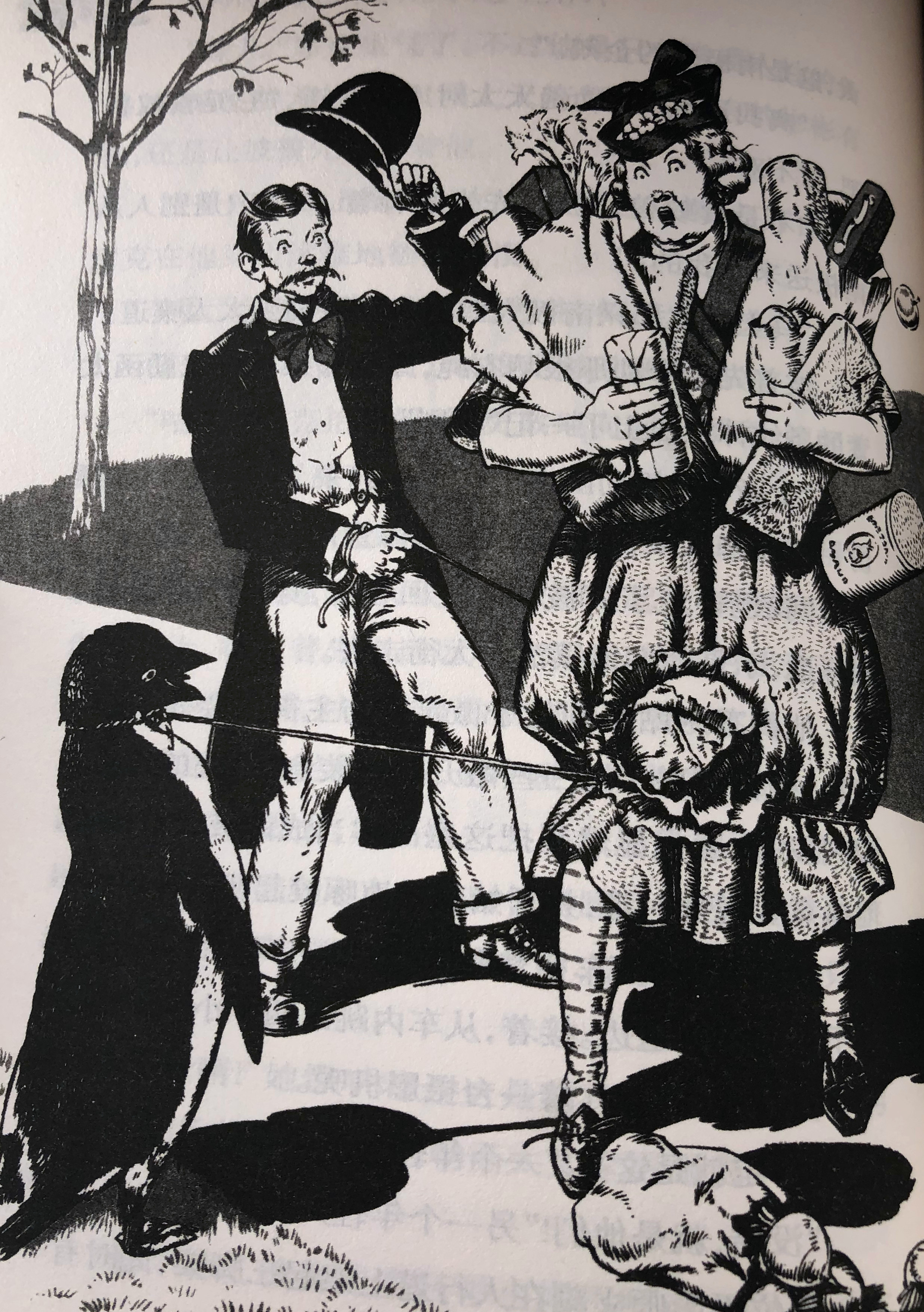 《波普先生的企鹅》孩子,平凡人生也能被梦想照亮,只要你敢追寻