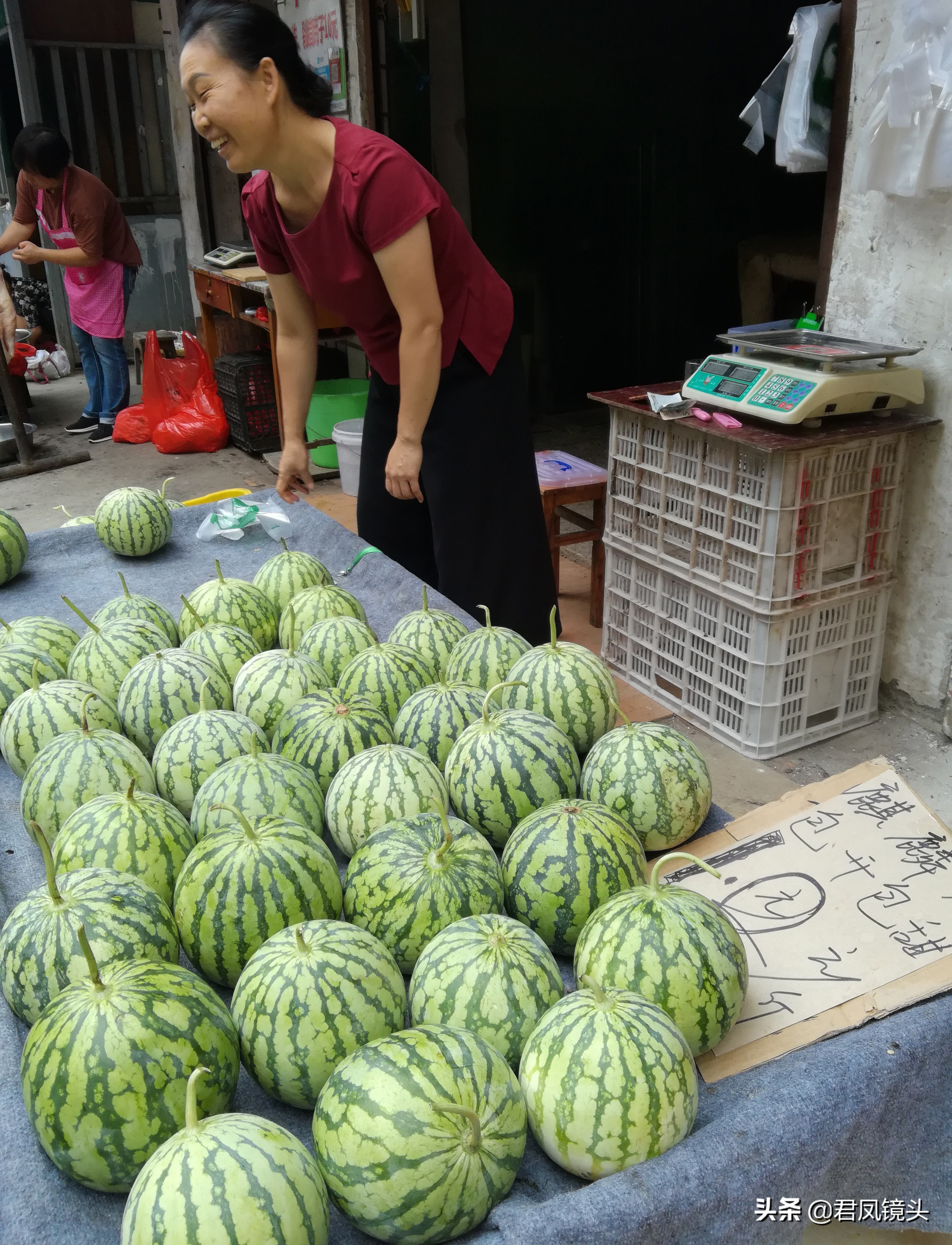 湖北西瓜价格今日行情（今日麒麟西瓜价格）