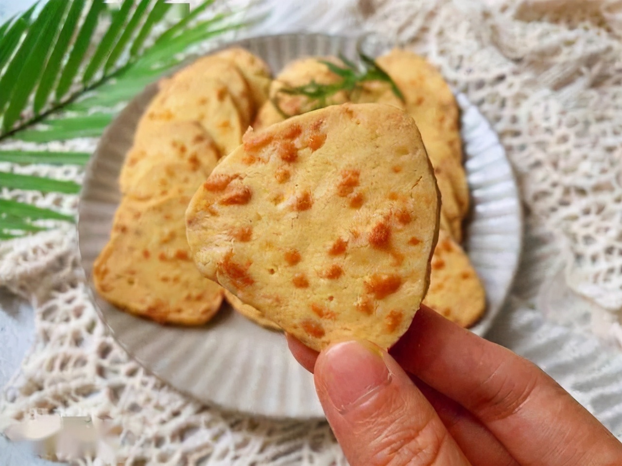 手工饼干的100种做法（6款自制美味饼干大合集）