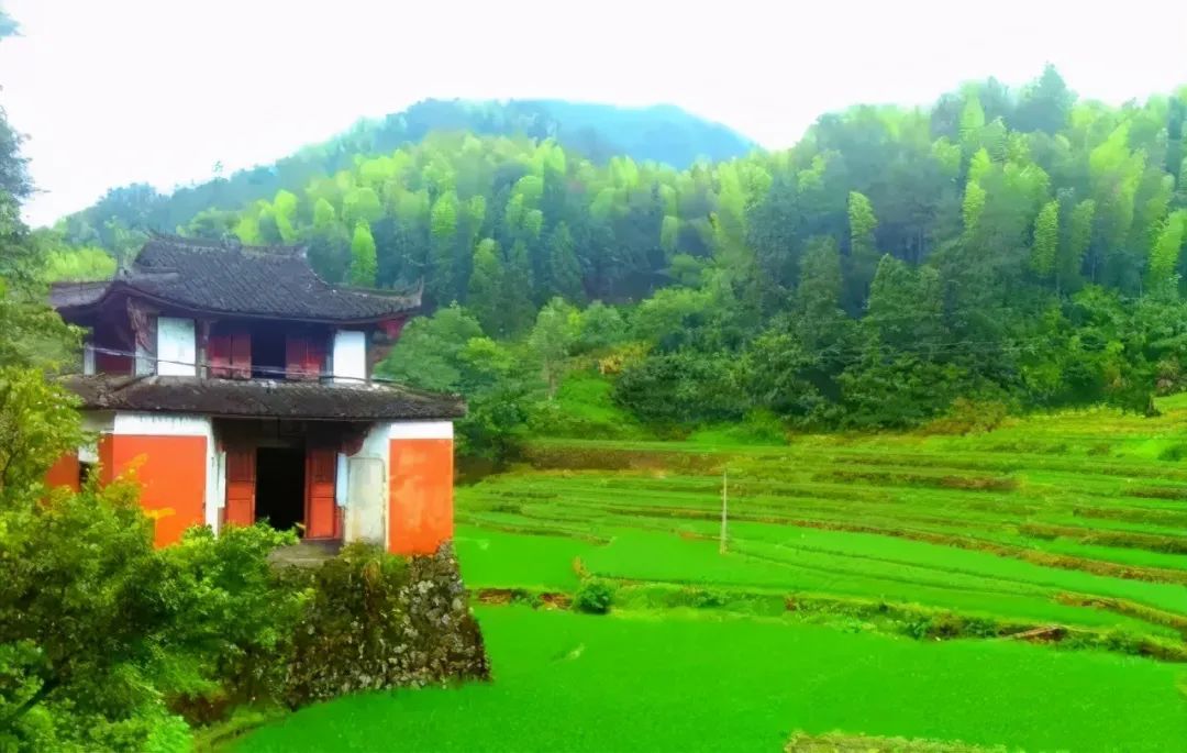 浙江龙泉10处最美古村落，寻访宝剑青瓷故里的静谧风景