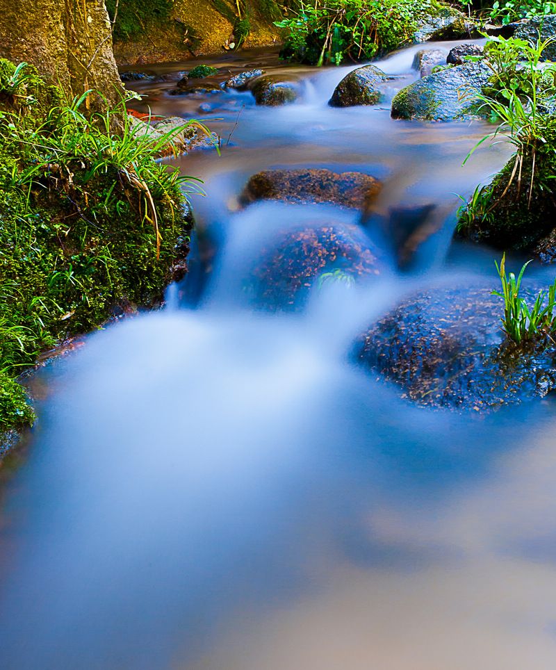 故乡的小溪成为了我们那一代人童年美丽的回忆