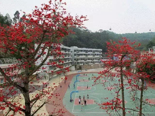 广东省理工职业技术学校，今年招生简章够劲爆！