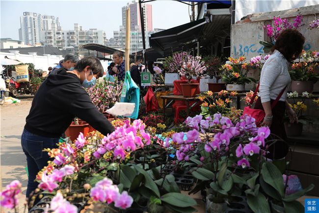 广州芳村岭南花卉市场图片
