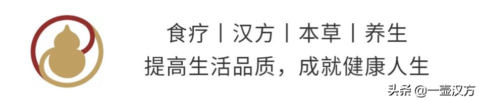 名医荟萃，医圣张仲景的故事——救死扶伤 初举孝廉