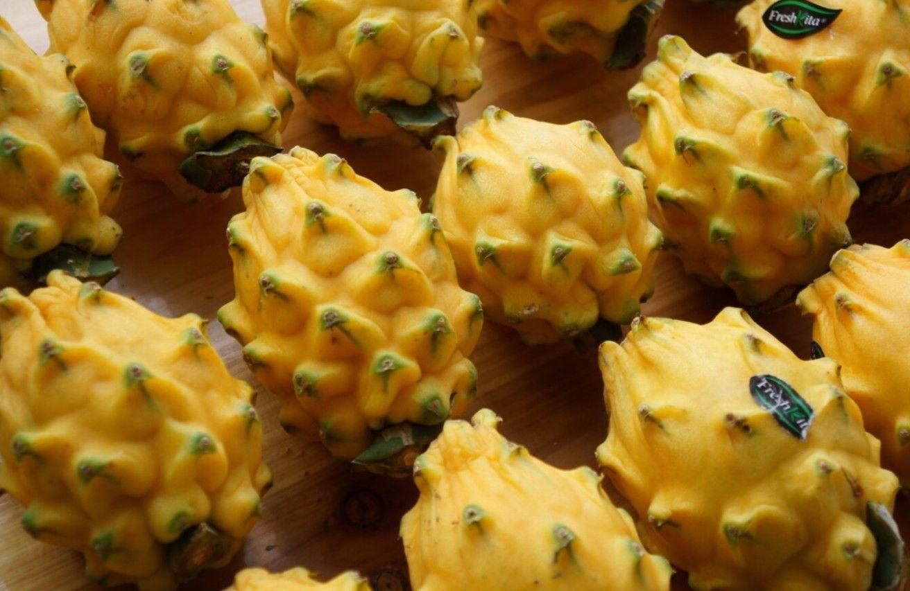 红绣球火龙果(火龙果的11个大系种类介绍)