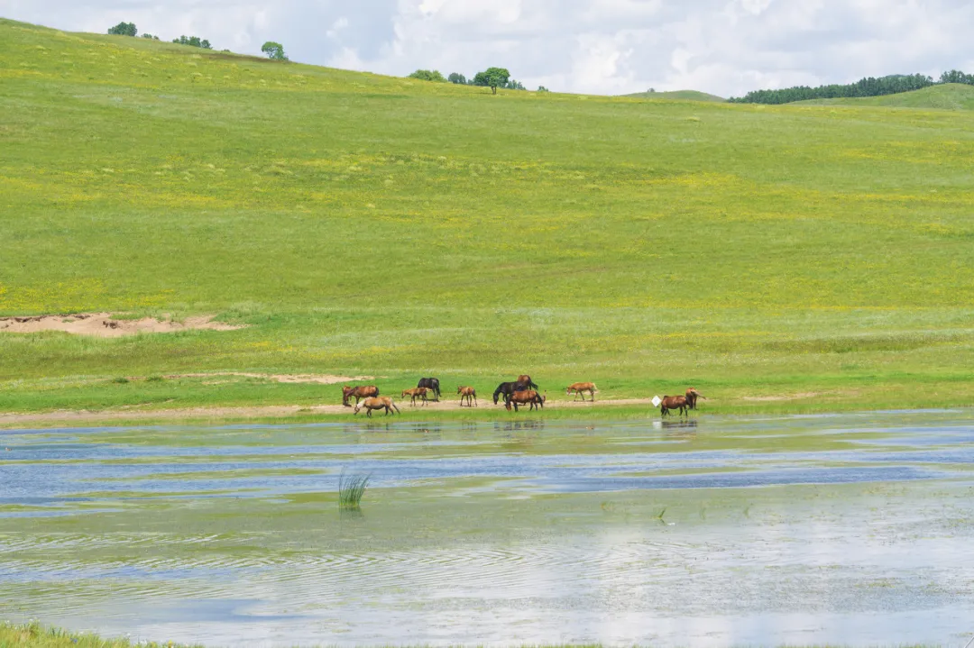 多伦湖景区门票多少钱(离京郊最近的一片大草原) - 价格百科