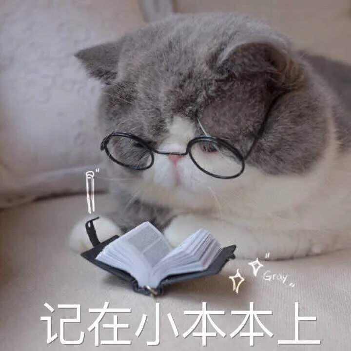 猫咪突然拉肚子了，该怎么办？