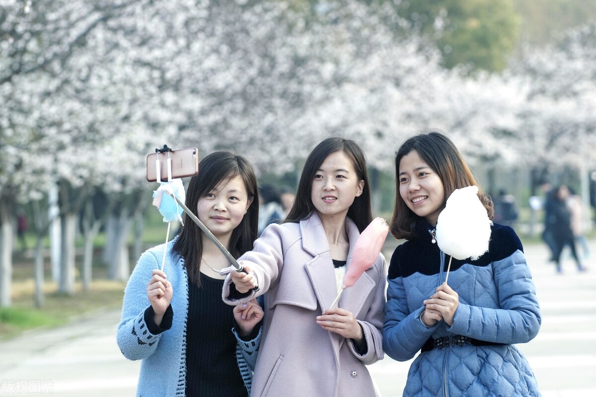 艺术类录取数据分析同济大学or武汉大学，你认为差距有多大？